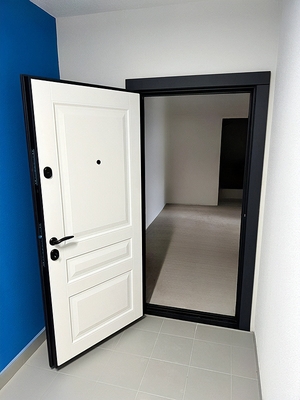 Квартирная дверь с МДФ